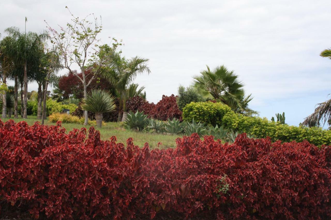 Sissi Boutique - The Terrace Between Ocean And Teide Santa Ursula  Bagian luar foto